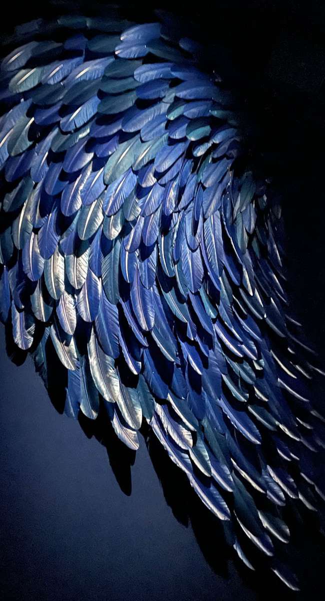 Sculpture d'aile en plumes bleues sous éclairage dramatique, scénographie Louis Vuitton Marrakech par Ponctuelle
