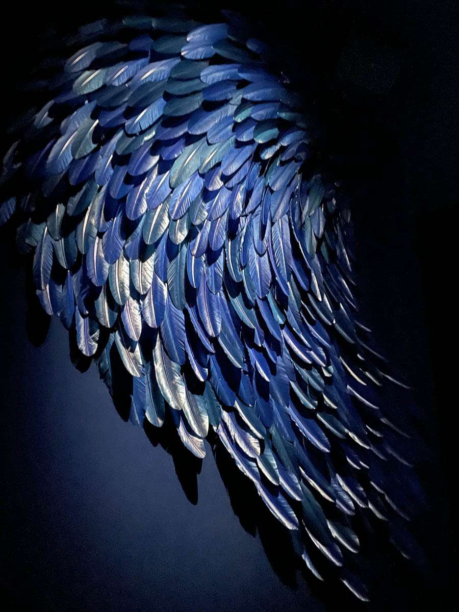 Sculpture d'aile en plumes bleues sous éclairage dramatique, scénographie Louis Vuitton Marrakech par Ponctuelle