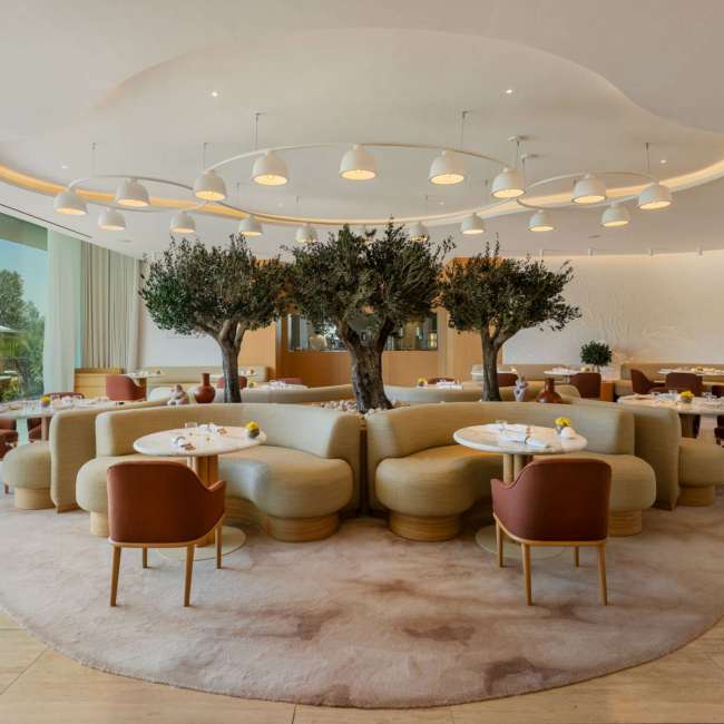 Dining room of the Marcelle restaurant at the Domaine de Verchant with a curved ceiling and circular pendants, lighting design by Ponctuelle