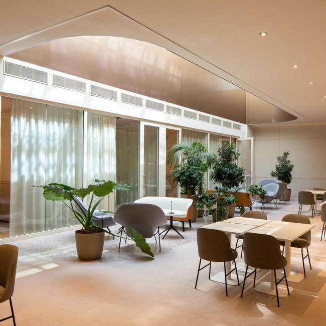Espace de restauration avec verrière courbe et végétation, mise en lumière Ponctuelle