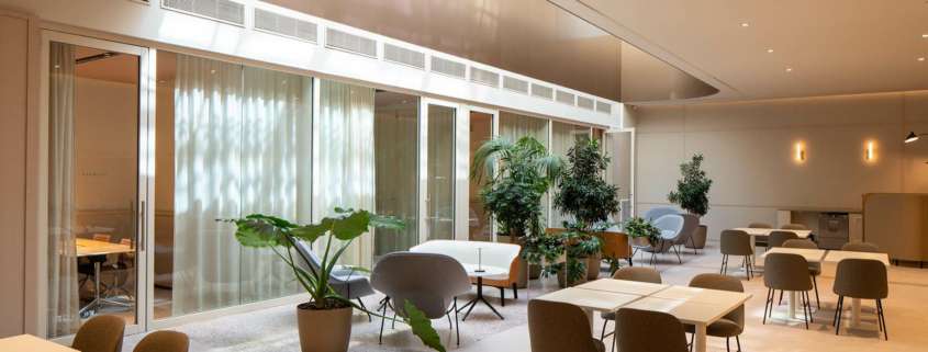 Espace de restauration avec verrière courbe et végétation, mise en lumière Ponctuelle